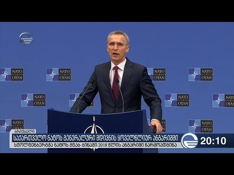 საქართველო ნატოს გენერალური მდივნის ყოველწლიური ანგარიში